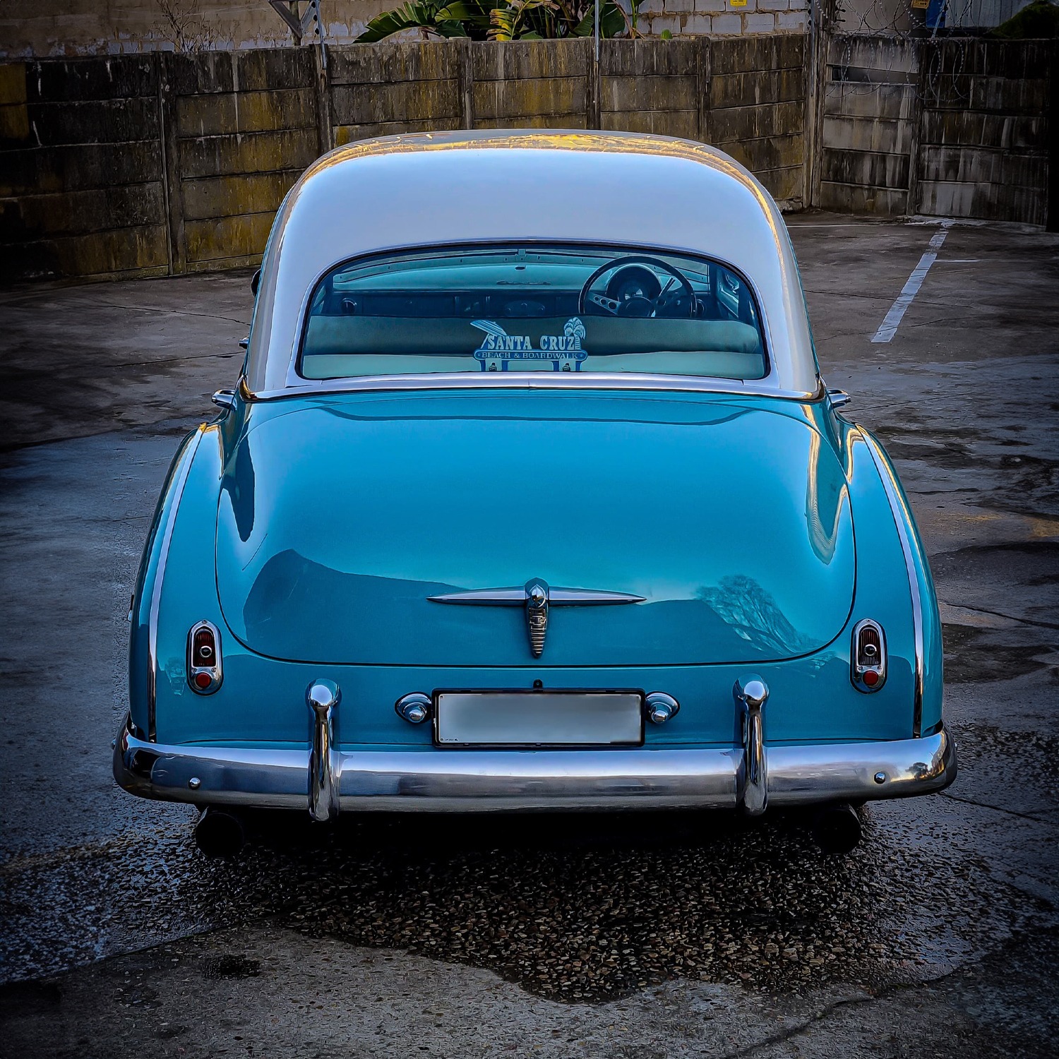 IMG-20240610-WA0091 copy