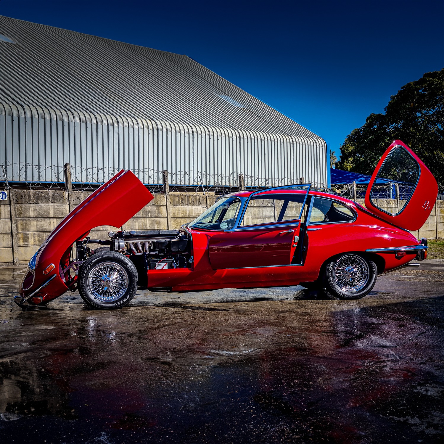 456255629_122111637482380905_3506721835355935895_n