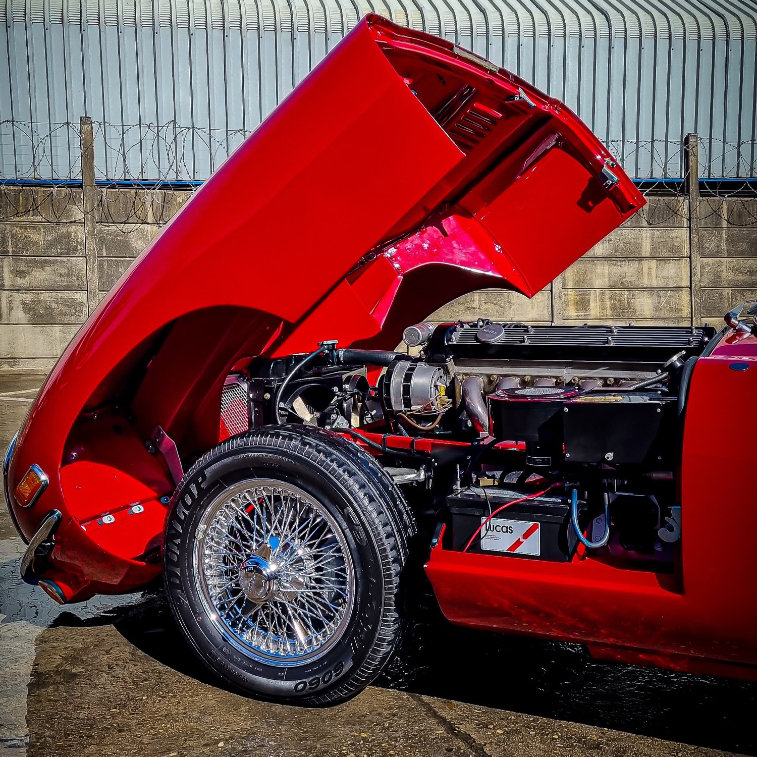 456685273_122111637374380905_4427045505297447266_n