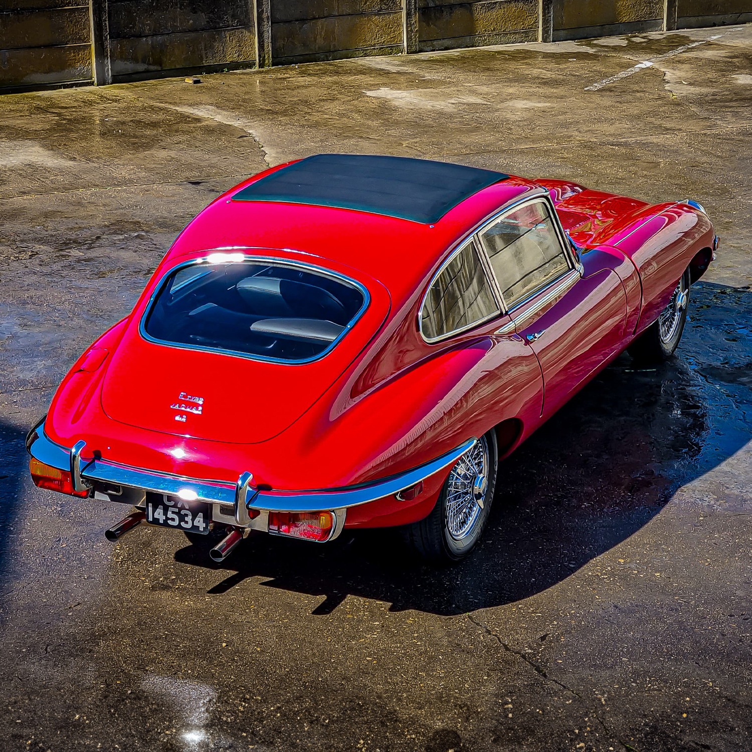 456953242_122111637494380905_2882915634753631991_n