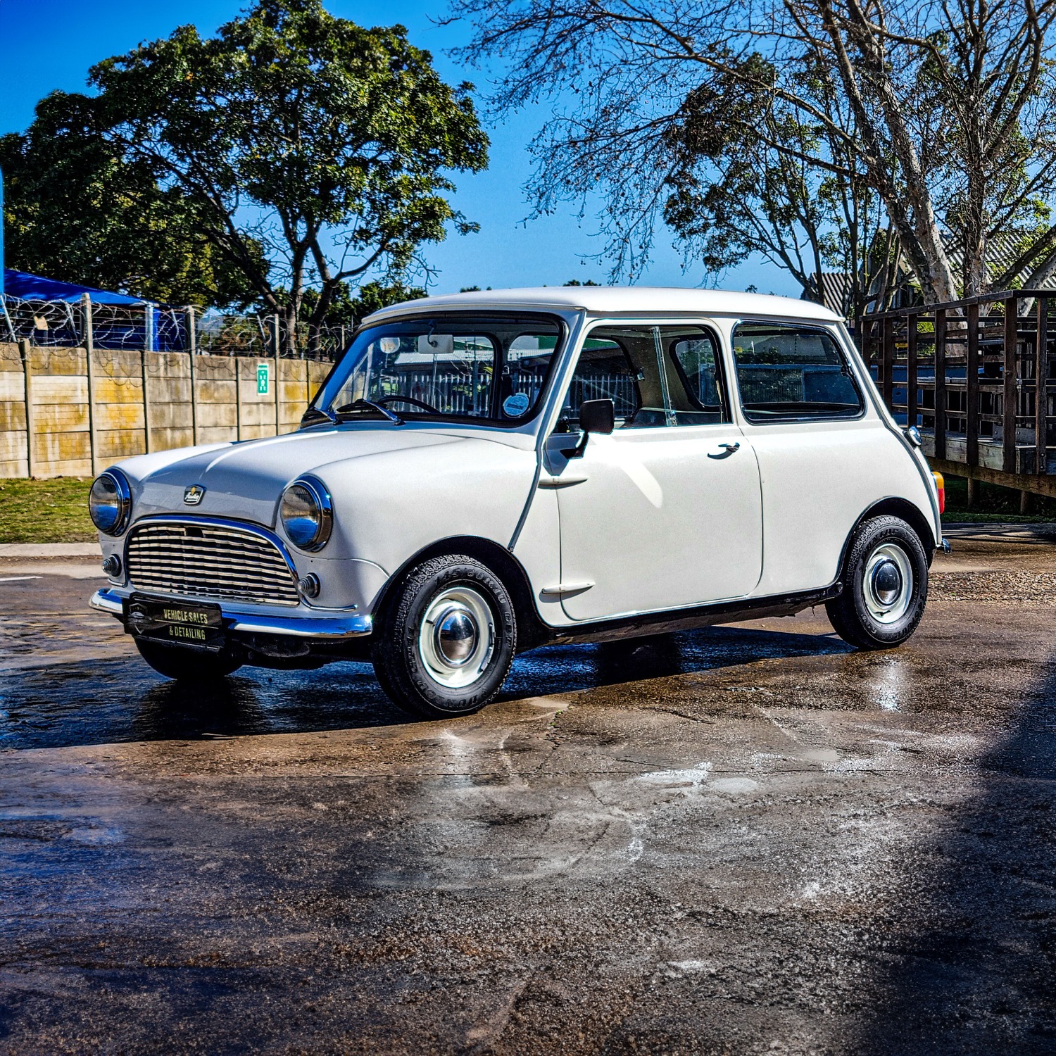 PHOTO-2024-08-19-19-42-08 2 copy