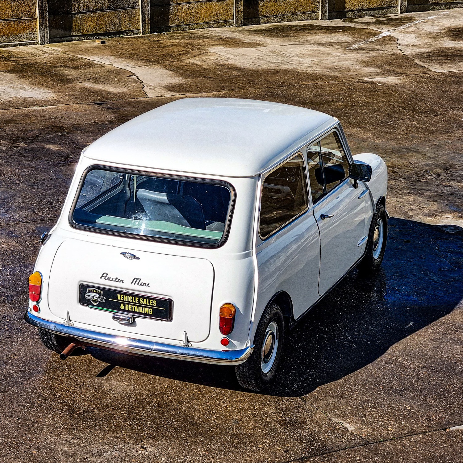 PHOTO-2024-08-19-19-42-09 2 copy