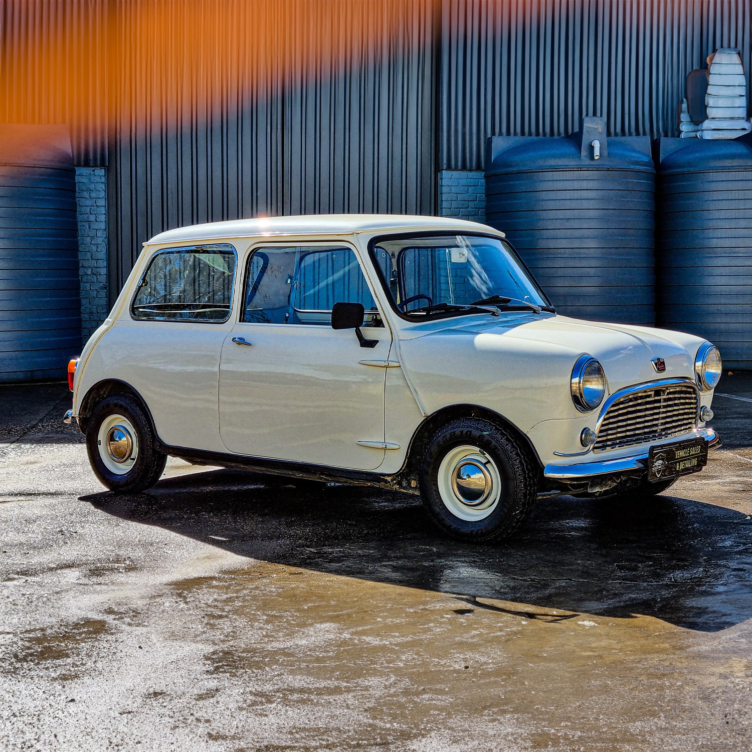 PHOTO-2024-08-19-19-42-09 3 copy