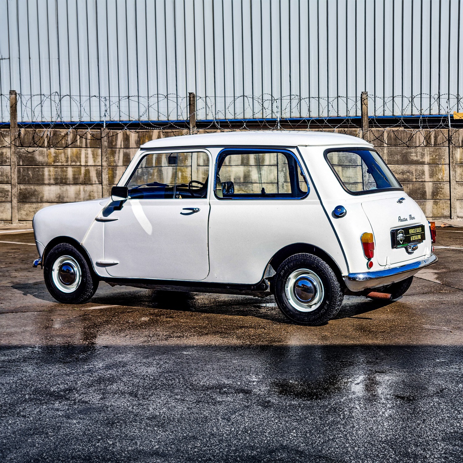 PHOTO-2024-08-19-19-42-09 copy