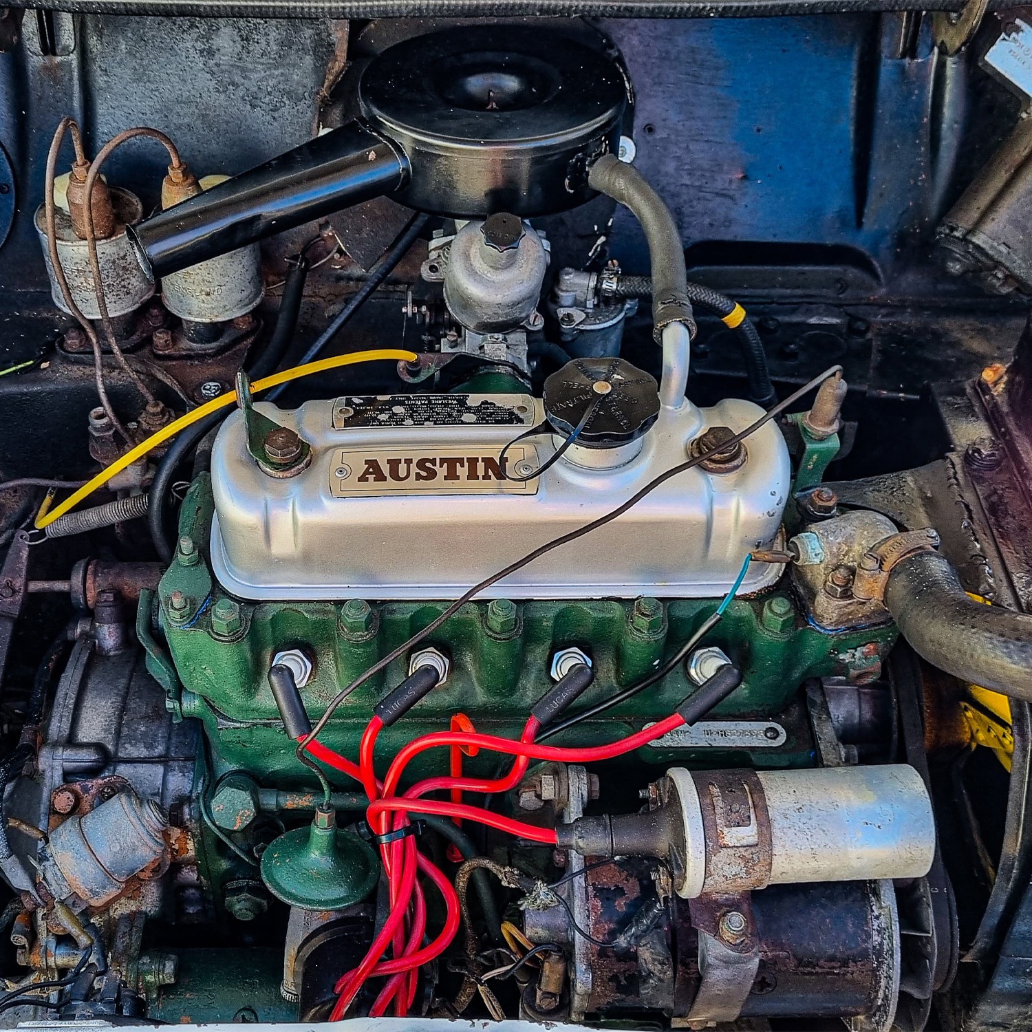 PHOTO-2024-08-19-19-42-12 2 copy