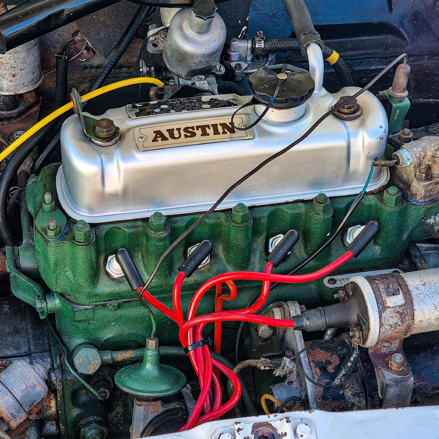 PHOTO-2024-08-19-19-42-12 3 copy